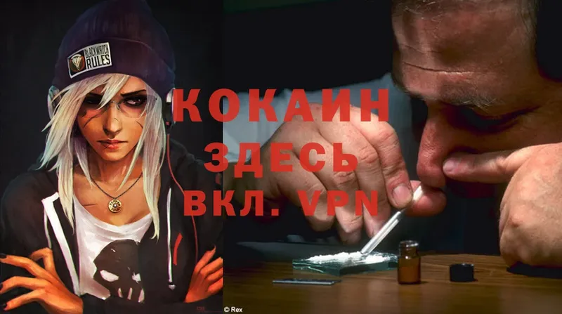 Cocaine Эквадор  наркотики  дарк нет как зайти  Орехово-Зуево  kraken вход 