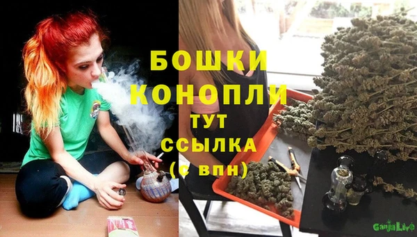 шишки Навашино