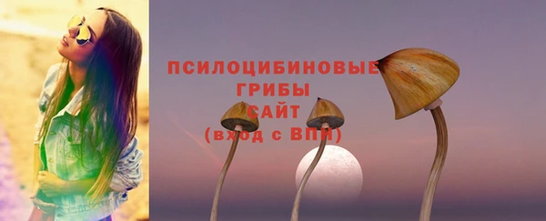 PSILOCYBIN Наволоки