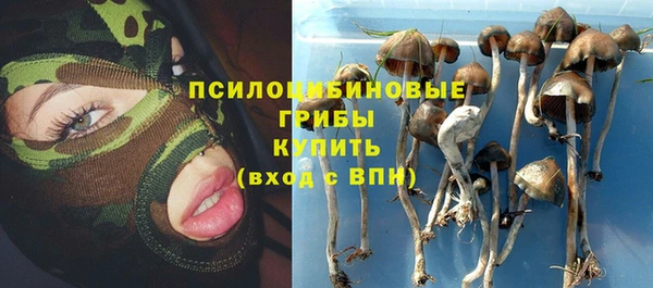 шишки Навашино