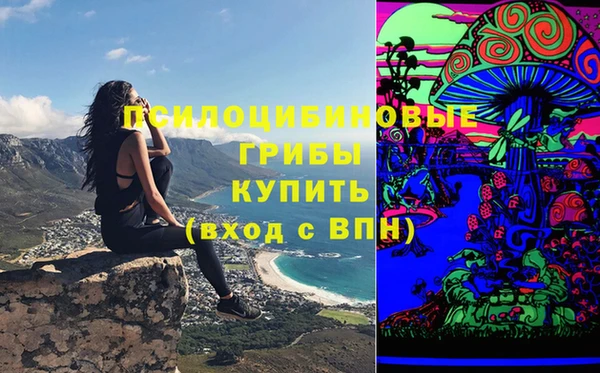 PSILOCYBIN Наволоки