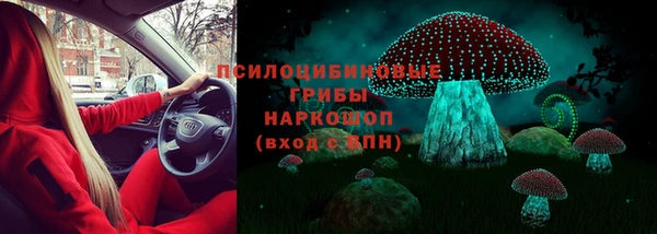 PSILOCYBIN Наволоки