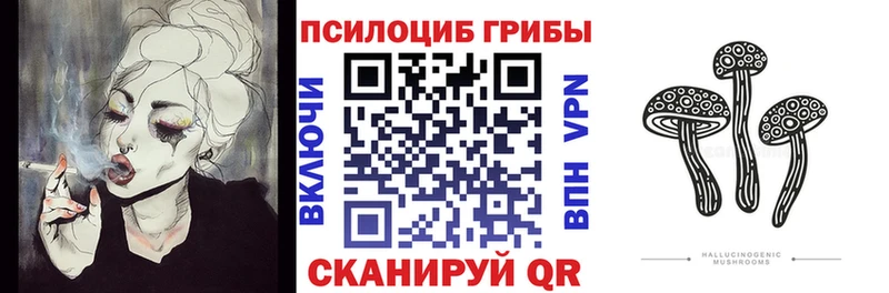 Псилоцибиновые грибы мухоморы  KRAKEN ТОР  Орехово-Зуево  что такое  